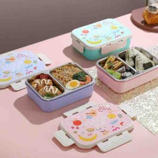 Lunch Box 2 Compartments Stainless Steel