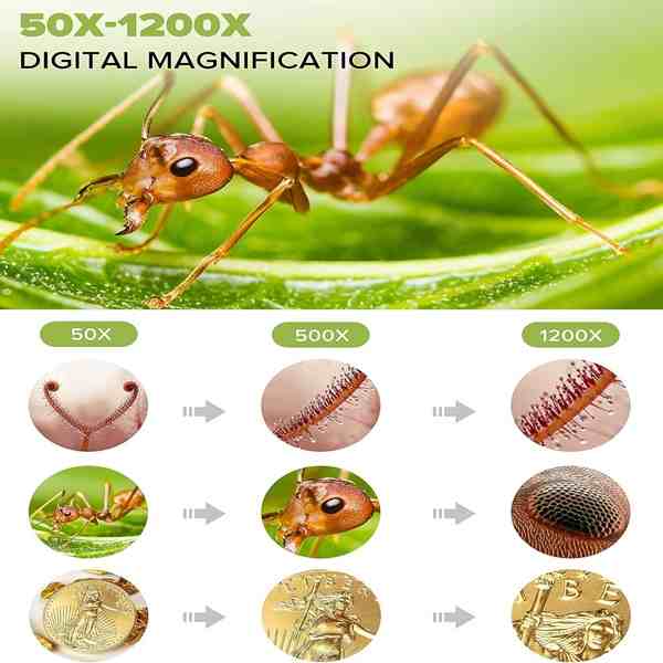7 inch LCD Digital Microscope - Image 7